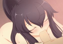 1boy 1girl animal_ears animated animated_gif blue_eyes blush brown_hair censored cum cum_in_mouth deepthroat fellatio fox_ears fox_tail hetero kanaya_azami long_hair navel oral penis swallowing sweat tail ukagaka zee_(zee_sub)