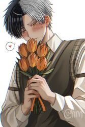 Rule 34 | 1boy, blush, flower, grey eyes, grey hair, heterochromia, highres, holding, holding flower, hyohls2 (hamao3o), long sleeves, male focus, multicolored hair, sakura haruka (wind breaker), shirt, short hair, solo, split-color hair, sweater vest, two-tone hair, white hair, white shirt, wind breaker (nii satoru), yellow eyes
