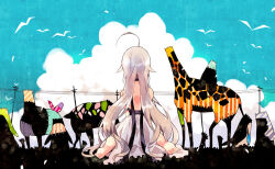 Rule 34 | 1girl, ahoge, backless dress, backless outfit, bare arms, bare back, bare shoulders, barefoot, bird, black ribbon, blue sky, cloud, commentary request, dress, from behind, full body, giraffe, grey hair, harikamo, kneeling, long dress, long hair, original, patch, penguin, pig, pleated dress, power lines, ribbon, shoulder blades, simple bird, sky, sleeveless, sleeveless dress, soles, solo, surreal, toes, very long hair, white dress