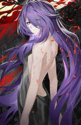 1girl absurdres acheron_(honkai:_star_rail) back backless_dress backless_outfit black_dress breasts commentary_request dress evzeva eyes_visible_through_hair from_side highres honkai:_star_rail honkai_(series) long_hair looking_at_viewer medium_breasts oil-paper_umbrella purple_eyes purple_hair solo umbrella very_long_hair