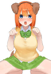 1girl absurdres amog animal_ears blue_eyes blush bow bowtie breasts brown_tail collared_shirt commentary_request dog_ear_hairband dog_ears dog_tail fake_animal_ears go-toubun_no_hanayome green_bow green_bowtie green_skirt highres large_breasts nakano_yotsuba open_mouth orange_hair paid_reward_available paw_pose plaid_bow plaid_bowtie plaid_clothes pleated_skirt school_uniform shirt short_hair simple_background skirt solo squatting sweater_vest tail white_background white_shirt yellow_sweater_vest