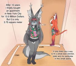 2others absurdres animal_ears blue_eyes closed_mouth commentary english_commentary english_text full_body furry glasses grey_fur grey_hair highres indoors long_hair looking_at_viewer meme multiple_others ndbiet orange_fur orange_hair original round_eyewear shirt short_sleeves shorts sparkydb standing t-shirt tail unhinged_home_design_(meme) very_long_hair