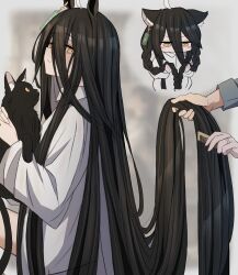1girl absurdres ahoge alternate_hairstyle animal animal_ears black_hair blush_stickers braid cat cat_ears closed_mouth comb commentary_request hair_between_eyes highres holding holding_animal holding_another&#039;s_hair holding_comb horse_ears horse_girl kemonomimi_mode leogust long_hair long_sleeves looking_at_viewer looking_down manhattan_cafe_(umamusume) multicolored_hair revision shirt streaked_hair twin_braids umamusume very_long_hair white_hair white_shirt yellow_eyes