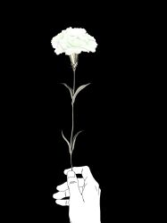 1other black_background commentary_request flower flower_focus greyscale hand_focus highres holding holding_flower monochrome original out_of_frame solo tp_p_pt