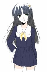 Rule 34 | 1girl, breasts, green eyes, grey hair, hair ornament, kyoukai no rinne, long hair, school uniform, shima renge, skirt