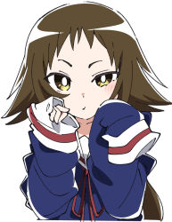 Rule 34 | 1girl, blue shirt, bright pupils, brown hair, ixy, long hair, long sleeves, looking at viewer, mikakunin de shinkoukei, mitsumine mashiro, shirt, simple background, sleeves past fingers, sleeves past wrists, solo, white background, white pupils, yellow eyes