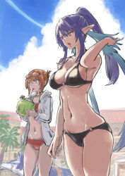 Rule 34 | 2girls, bikini, black bikini, blue sky, brown hair, cloud, coconut, commentary, dog, drinking straw, goggles, goggles on head, groin, halterneck, high ponytail, highres, hood, hoodie, judith (tales), long hair, long pointy ears, multiple girls, navel, nemimin, o-ring, o-ring bikini, open clothes, open hoodie, open mouth, outdoors, pink eyes, pointy ears, ponytail, purple hair, red bikini, repede (tales), rita mordio, sidelocks, sky, standing, swimsuit, tales of (series), tales of vesperia, v-shaped eyebrows, white hoodie