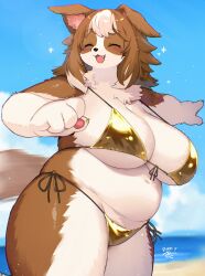 1girl animal_ears beach bikini blue_sky breasts brown_hair curvy dog_ears dog_girl dog_tail fang furry furry_female gold_bikini golden_week highres kishibe large_breasts ocean original plump sky swimsuit tail white_hair