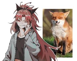 1girl annoyed antenna_hair black_bow black_bowtie black_shirt bow bowtie clenched_teeth collarbone crop_top die_(die0118) fox green_jacket hair_bow hand_on_own_cheek hand_on_own_face hood hood_down hooded_jacket jacket long_hair long_sleeves mahou_shoujo_madoka_magica mahou_shoujo_madoka_magica_(anime) messy_hair midriff open_clothes open_jacket outline ponytail red_eyes red_hair reference_inset sakura_kyoko sharp_teeth shirt slit_pupils solo teeth tsurime upper_body v-shaped_eyebrows very_long_hair white_background white_outline