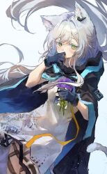 1girl animal_ears arknights black_gloves black_jacket cat_ears cat_girl cat_tail covering_own_mouth dress fingerless_gloves flower gloves green_eyes highres holding holding_flower jacket jacket_on_shoulders looking_at_viewer mumu_millhayes purple_flower rosmontis_(arknights) solo tail white_dress white_hair