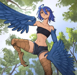 1girl artist_logo artist_name bare_shoulders bird_legs black_shorts black_tube_top blue_hair blue_wings breasts commentary cutoffs day ethrkart feathered_wings feathers from_below hair_between_eyes harpy logo looking_at_viewer midriff monster_girl monster_musume_no_iru_nichijou navel outdoors papi_(monster_musume) parted_lips short_hair short_shorts shorts small_breasts solo strapless talons tree tube_top winged_arms wings yellow_eyes