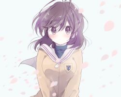 1girl artist_request bad_id bad_pixiv_id brown_eyes brown_hair clannad falling_petals furukawa_nagisa looking_at_viewer medium_hair petals school_uniform shirt solo solo_focus white_background yellow_shirt