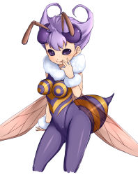 1girl antennae arthropod_girl bee bee_girl bug capcom darkstalkers female_focus fur hand_on_own_face highres insect insect_girl insect_wings kosumo monster_girl pantyhose purple_eyes purple_hair purple_pantyhose q-bee short_hair sleeveless smile solid_eyes solo white_background wings