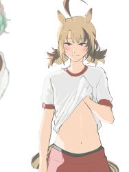 2girls absurdres ahoge alternate_costume alternate_species animal_ears blonde_hair cecilia_immergreen commentary cowboy_shot gigi_murin highres hololive hololive_english horse_ears horse_tail marii_(mmmmmarii_) multiple_girls navel red_eyes red_shorts shirt shorts solo solo_focus stomach symbol-only_commentary tail white_background white_shirt