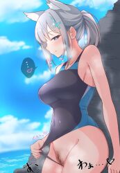 Rule 34 | ..., 1girl, animal ear fluff, animal ears, blue archive, blue eyes, clothes pull, competition swimsuit, cross hair ornament, earrings, female pubic hair, frontal wedgie, grey hair, hair ornament, halo, heart, highres, jewelry, ocean, one-piece swimsuit, one-piece swimsuit aside, one-piece swimsuit pull, outdoors, ponytail, pubic hair, pulling own clothes, pussy, shiroko (blue archive), shiroko (swimsuit) (blue archive), smile, solo, spoken ellipsis, spoken heart, standing, steam, swimsuit, tachibana (cyclone1316), wedgie
