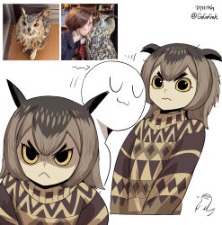 1girl :&lt; bird bird_girl brown_hair creature_and_personification from_above frown gegegekman glaring highres looking_at_viewer nuzzle original owl owl_ears owl_girl personification photo-referenced reference_inset shirt_tug solo sweat sweater thick_eyebrows yellow_eyes