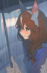 1girl absurdres animal_ears ashinowoto blurry blurry_background blush braid breasts brown_hair casual commentary_request curren_bouquetd&#039;or_(umamusume) grey_eyes hair_between_eyes hair_ornament hairband highres horse_girl low_twin_braids pov pov_hands shared_umbrella solo twin_braids umamusume umbrella
