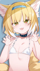 1girl :d alternate_costume animal_ears areola_slip arknights bikini blonde_hair blue_background blue_hairband blush breasts chinese_commentary claw_pose collarbone commentary_request green_eyes hairband hands_up heart heart-shaped_pupils highres infection_monitor_(arknights) loli looking_at_viewer multicolored_hair multiple_tails open_mouth shadow short_hair simple_background small_breasts smile solo streaked_hair suzuran_(arknights) swimsuit symbol-shaped_pupils tail upper_body white_bikini white_hair yellow_tail zhishi_hanbao_bao