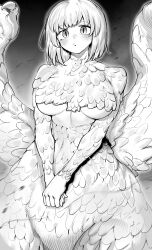 Rule 34 | 1girl, absurdres, blush, body fur, breasts, centauroid, chimera, claws, dungeon meshi, falin touden, falin touden (chimera), feathered wings, feathers, highres, large breasts, looking at viewer, monster girl, monsterification, navel, niwarhythm, short hair, tail, taur, underboob, white feathers, wings