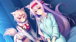 Rule 34 | 2girls, animal ears, aristear remain, astronauts, astronauts comet, bed, bent over, blush, breasts, cleavage, curtains, detached collar, drill hair, game cg, indoors, jacket, kiryuu koma, kiryuu shizuku, kokusan moyashi, legs, long hair, long sleeves, looking at viewer, multiple girls, pajamas, pink eyes, pink hair, red eyes, rozea, short hair, sitting, skirt, smile, tail, thighs