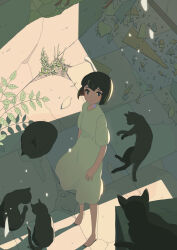 1girl abandoned android animal barefoot black_cat black_hair blue_pupils bob_cut cat crack cracked_floor dress from_above highres looking_at_viewer looking_up mii_shintaro original overgrown shadow short_sleeves solo