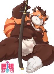1boy belly blue_eyes blush bulge chinese_commentary commentary_request fang fang_out fat fundoshi furry furry_male highres holding holding_sword holding_weapon japanese_clothes katana looking_at_viewer male_focus morain_xs navel nipples red_panda_boy red_panda_ears red_panda_tail sheath sheathed smile socks suruga_(tamacolle) sword tamacolle weapon white_background white_socks