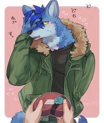 1boy 1other aizawa_(nh_st) black_shirt blue_fur blue_hair blush body_fur box box_of_chocolates claws commentary_request cowboy_shot flying_sweatdrops furry furry_male gift green_jacket hand_in_own_hair heart-shaped_box highres holding holding_gift jacket looking_at_viewer male_focus original pink_background pov shirt short_hair simple_background standing tail translation_request valentine wolf_boy