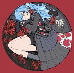 1girl absurdres black_cape black_overskirt black_shirt black_shorts blue_eyes blue_hair cape chest_harness closed_mouth coat expressionless flower full_body hair_over_one_eye harness hashtag-only_commentary highres hololive hoshimachi_suisei hoshimachi_suisei_(shout_in_crisis) long_hair long_sleeves looking_at_viewer lying official_alternate_costume on_side one_eye_covered overskirt pleated_skirt ponytail red_background red_flower shirt short_shorts shorts simple_background skirt solo spider_lily tai_inukai turtleneck turtleneck_shirt virtual_youtuber waist_cape white_flower white_spider_lily