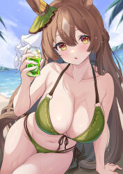 1girl absurdres animal_ears arm_support beach bikini blue_sky blush breasts brown_eyes brown_hair cleavage commentary_request cup curvy day diamond_(shape) drinking_glass green_bikini halterneck highres holding holding_cup horizon horse_ears horse_girl horse_tail large_breasts long_hair looking_at_viewer maimuu navel ocean open_mouth outdoors satono_diamond_(umamusume) side-tie_bikini_bottom sky solo stomach string_bikini swimsuit tail thick_thighs thighs umamusume