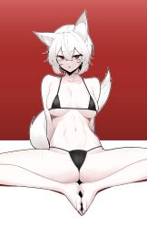 1641_(chfhrtor94) 1girl absurdres alternate_costume animal_ear_fluff animal_ears barefoot bikini black_bikini breasts collarbone commentary_request double-parted_bangs feet full_body hair_between_eyes highres inubashiri_momiji knees_apart_feet_together korean_commentary medium_breasts micro_bikini red_background red_eyes short_hair sitting solo stomach swimsuit tail touhou white_hair wolf_ears wolf_girl wolf_tail