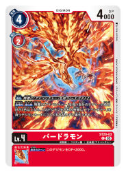 Rule 34 | artist name, attack, bird, birdramon, card (medium), character name, commentary request, copyright name, digimon, digimon (creature), digimon card game, feathers, fiery wings, green eyes, no humans, official art, red feathers, sharp teeth, solo, takeuchi moto (mtrumorumo), talons, teeth, trading card, translation request, wings