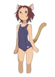 1girl animal_ears brown_eyes brown_hair brown_tail cat_ears cat_girl closed_mouth highres looking_at_viewer neko_no_ongaeshi one-piece_swimsuit short_hair simple_background solo swimsuit tanaka_kunihiko whiskers white_background yoshioka_haru