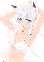 Rule 34 | 1girl, absurdres, ahoge, animal ear fluff, animal ears, armpits, arms up, blush, bra, braid, breasts, cleavage, commentary request, earrings, extra ears, fox ears, fox girl, green eyes, hair between eyes, hair tie in mouth, highres, hololive, jewelry, kasawara, long hair, looking at viewer, medium breasts, mouth hold, panties, shirakami fubuki, sidelocks, single braid, solo, tying hair, underwear, virtual youtuber, white bra, white hair, white panties