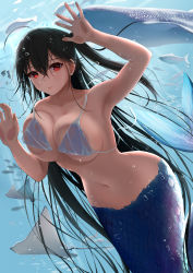 1girl against_glass ahoge air_bubble aquarium armpits azur_lane bare_shoulders bikini bikini_top_only black_hair breast_press breasts breasts_on_glass bubble cleavage closed_mouth collarbone commentary_request crossed_bangs fish hair_between_eyes highres large_breasts light_rays long_hair looking_at_viewer manta_ray mermaid monster_girl monsterification navel one_side_up red_eyes scales shigatsu_(4gate) solo_focus forked_tail stomach swimsuit taihou_(azur_lane) underwater untied_bikini very_long_hair wet wet_clothes white_footwear