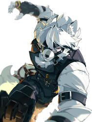 1boy absurdres animal_ear_fluff animal_ears animal_nose arm_belt arm_up black_vest blurry body_fur claws commentary_request depth_of_field facing_viewer furry furry_male gloves hair_over_one_eye highres incoming_attack looking_at_viewer mechanical_legs muzzle_(mask) neck_fur red_eyes roru_(roru39) running shirt simple_background snout solo tail transparent_background vest von_lycaon white_fur white_hair white_shirt white_tail wolf_boy wolf_ears wolf_tail zenless_zone_zero