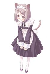 animal_ears bad_id bad_pixiv_id cat_ears cat_tail maid nyaou pantyhose solo tail