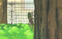 10s 1girl animated animated_gif anime_screenshot blue_eyes bug butterfly_net cicada day dragon_girl dragon_horns eating female_focus fence gradient_hair hand_net horns insect kanna_kamui kobayashi-san_chi_no_maidragon light_purple_hair long_hair lowres multicolored_hair net non-web_source park slit_pupils solo tree