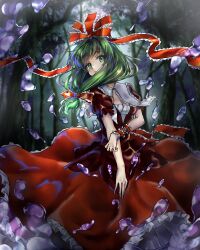 1girl absurdres bow dress forest front_ponytail green_eyes green_hair hair_bow hair_ribbon highres kagiyama_hina looking_at_viewer nakama_tsukasa nature red_bow red_dress red_ribbon red_skirt ribbon skirt solo touhou