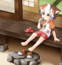 1boy :3 animal_ears bandana barefoot blurry blush brown_eyes brown_hair calico cat_boy cat_ears depth_of_field feet full_body hair_between_eyes highres house indie_virtual_youtuber male_focus neckerchief open_mouth orange_hair original paw-shaped_pupils red_bandana shiro_(white_2530) shirt shoes shorts sitting slice_of_life solo sweatdrop symbol-shaped_pupils tatamaru_(vtuber) unworn_neckerchief unworn_shoes veranda virtual_youtuber