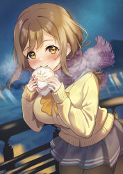 1girl black_pantyhose blurry blurry_background blush breasts breath brown_cardigan brown_eyes brown_hair cardigan commentary_request double-parted_bangs enpera food food_in_mouth grey_sailor_collar grey_skirt highres holding holding_food kunikida_hanamaru large_breasts long_hair long_sleeves looking_at_viewer love_live! love_live!_sunshine!! miniskirt necktie nekomaru_nisei night night_sky pantyhose pleated_skirt purple_scarf railing sailor_collar scarf school_uniform serafuku skirt sky smile solo steamed_bun upper_body uranohoshi_school_uniform winter_uniform yellow_necktie
