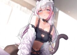 1girl @_@ animal_ears bare_shoulders black_bra black_choker bra breasts brown_thighhighs cat_cutout cat_ears cat_girl cat_lingerie cat_tail character_request choker cleavage cleavage_cutout clothing_cutout frilled_choker frills grey_eyes highres indie_virtual_youtuber jacket long_hair looking_at_viewer medium_breasts meme_attire multicolored_hair navel nen_0405 off_shoulder open_clothes open_jacket parted_lips solo stomach streaked_hair tail thighhighs two-tone_hair underwear virtual_youtuber white_hair white_jacket