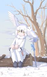 1girl animal bare_tree bird bird_girl bird_tail bird_wings black_hair black_shoes blurry blurry_background closed_mouth commentary creature_and_personification day full_body fur_collar head_wings highres kemono_friends kemono_friends_3 leaning_to_the_side leg_warmers looking_at_viewer miniskirt mittens multicolored_hair onefiresticks outdoors owl personification shirt shoes sitting skirt smile snow snowy_owl_(kemono_friends) symbol-only_commentary tail tree two-tone_hair white_hair white_mittens white_shirt white_skirt white_wings wings winter yellow_eyes