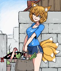 2girls animal_ears bag blonde_hair bottle breasts brick_wall can cat_ears celery cleavage drink_can formicid fox_tail gap_(touhou) groceries large_breasts looking_at_viewer multiple_girls multiple_tails no_headwear one_eye_closed outdoors red_ribbon ribbon shirt shopping_bag short_hair shorts soda_can standing sweat sweatdrop t-shirt tail thighs touhou water_bottle yakumo_ran yakumo_yukari yellow_eyes