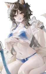 Rule 34 | 1girl, :p, absurdres, ahri (league of legends), animal ears, bikini, bikini visible through clothes, black hair, blue bikini, breasts, clothes lift, crop top, facial mark, fang, fox ears, fox tail, hashtag-only commentary, highres, holding, holding shower head, league of legends, lifting own clothes, long hair, looking at viewer, medium breasts, see-through clothes, see-through shirt, seiza, shirt, shirt lift, short sleeves, shower head, simple background, sitting, skin fang, smile, solo, string bikini, swimsuit, tail, thighs, tongue, tongue out, two side up, underboob, wet, wet clothes, wet shirt, white background, white shirt, yellow eyes, yonchan