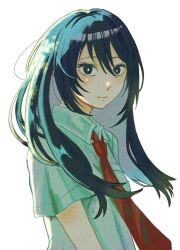 1girl black_eyes black_hair breast_pocket bright_pupils collared_shirt commentary_request futsuu_no_keion-bu hair_between_eyes highres kameya_san light_smile long_hair mi3aki_72kaka9 mole mole_on_cheek mole_under_eye mole_under_mouth necktie pocket red_necktie school_uniform shirt short_sleeves simple_background smile solo summer_uniform upper_body white_background white_pupils white_shirt