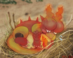 creatures_(company) egg fire game_freak gen_1_pokemon lowres magmar nest nintendo no_humans pokemon pokemon_(creature)