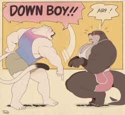 2boys animal_ears artist_name bara barefoot blush claws commentary down_boy!!_(meme) english_commentary flying_sweatdrops furry furry_male highres looking_at_another male_focus meme multiple_boys muscular muscular_male open_mouth otter_boy otter_ears otter_tail panther_boy panther_ears panther_tail pectorals pointing pointing_down samuel_ayers_(the_smoke_room) speech_bubble tail the0tterr the_smoke_room todd_bronson_(the_smoke_room) whiskers