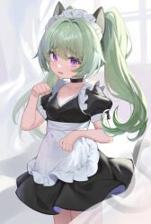 1girl absurdres alternate_costume animal_ears apron black_choker black_dress blush breasts cat_ears cat_girl cat_tail child choker collarbone commentary corin_wickes curtains dress enmaided frilled_apron frills green_hair hair_between_eyes hair_intakes hand_up highres long_hair looking_at_viewer maid maid_headdress mxr open_mouth paw_pose puffy_short_sleeves puffy_sleeves purple_eyes short_sleeves small_breasts solo standing tail thick_eyebrows transparent twintails very_long_hair wavy_mouth white_apron window zenless_zone_zero