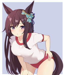 1girl absurdres animal_ears astroglia_cyte bow brown_hair buruma commentary cowboy_shot ear_bow grey_background gym_uniform hair_ornament hairclip hand_on_own_hip highres horse_ears horse_girl horse_tail leaning_forward long_hair looking_at_viewer mejiro_dober_(umamusume) parted_lips puffy_short_sleeves puffy_sleeves purple_eyes red_buruma shirt short_sleeves simple_background solo standing t-shirt tail umamusume white_shirt