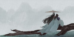 2boys bird black_hair black_hanfu branch chinese_clothes from_behind hair_ribbon hanfu headband high_ponytail holding holding_umbrella lan_wangji long_hair long_sleeves male_focus modao_zushi multiple_boys oil-paper_umbrella on_branch ponytail rain red_ribbon ribbon sitting_on_branch umbrella water wei_wuxian white_hanfu white_headband wide_shot wide_sleeves xianduguaitan xiao_guan_(headdress)